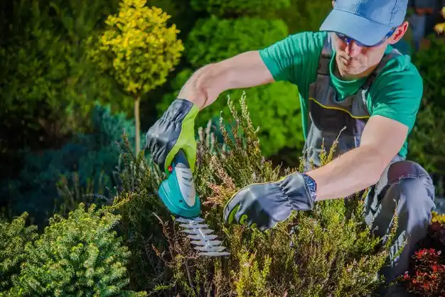 landscaping services Southfield